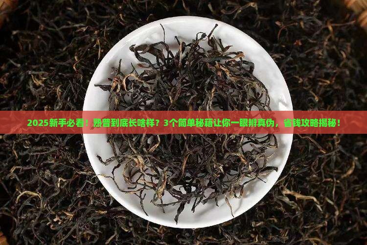 普洱茶熟普什么样子