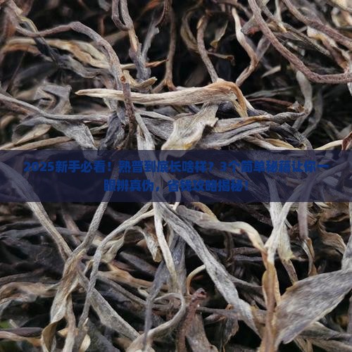 普洱茶熟普什么样子