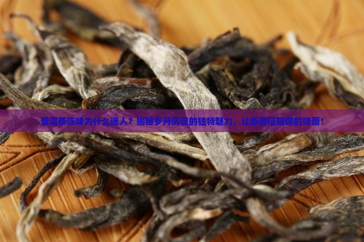 普洱茶陈味为什么迷人
