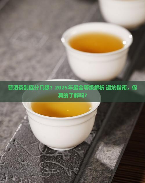 普洱茶中的等级划分