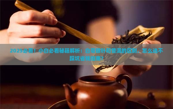 白毫银针和普洱的区别