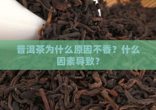 普洱茶为什么泡不香