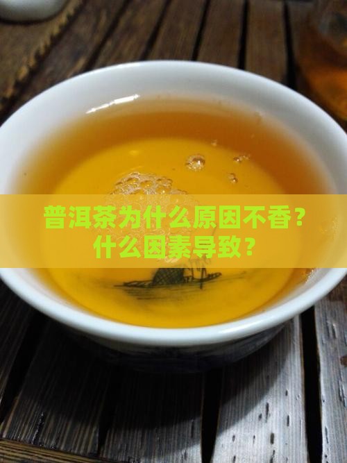 普洱茶为什么泡不香