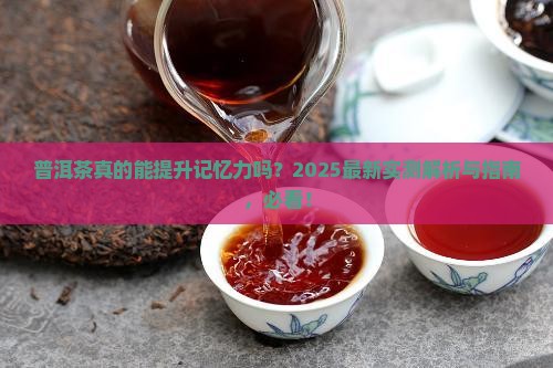 普洱茶对记忆力有影响吗