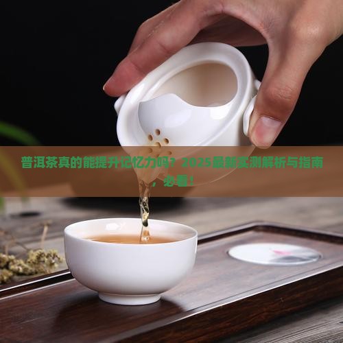 普洱茶对记忆力有影响吗