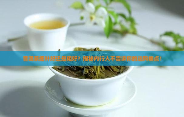 普洱茶细叶好还是粗好
