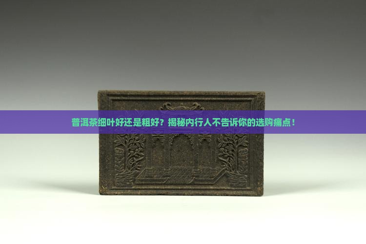 普洱茶细叶好还是粗好