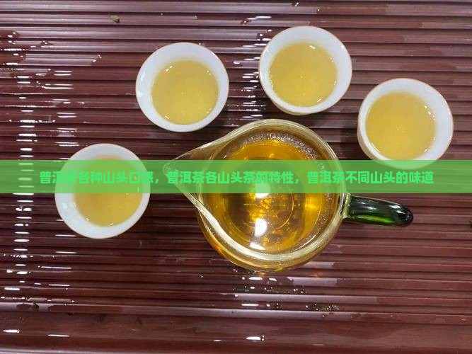 普洱茶各种山头口感