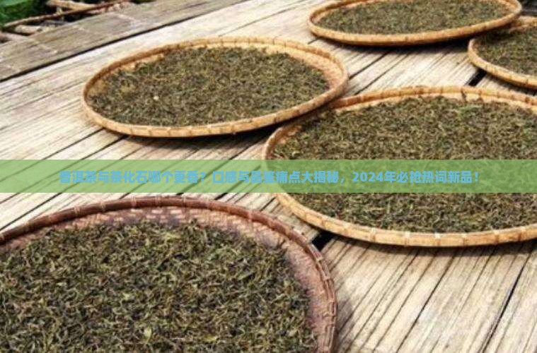 普洱茶与茶化石哪个更香