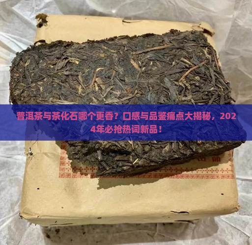 普洱茶与茶化石哪个更香