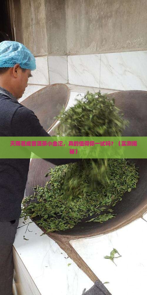 天赐茗成普洱茶小金沱