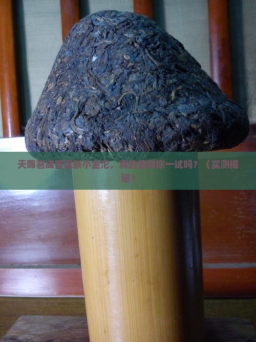 天赐茗成普洱茶小金沱