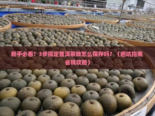 普洱茶转怎么保存吗