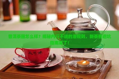 普洱茶圈怎么样