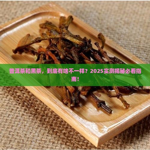 普洱茶与黑茶差别 普洱茶与黑茶差别