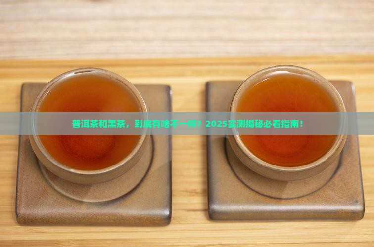 普洱茶与黑茶差别 普洱茶与黑茶差别