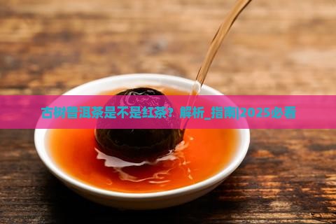 古树普洱茶是不是红茶