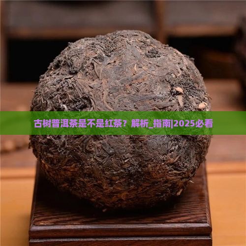 古树普洱茶是不是红茶
