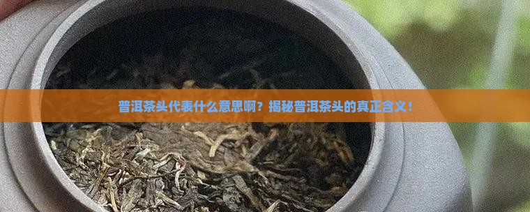普洱茶头代表什么意思啊