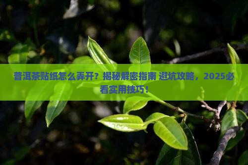 普洱茶贴纸怎么弄开