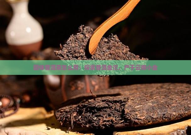 小固体普洱茶怎么用
