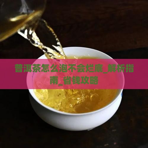 普洱茶怎么泡不会烂底
