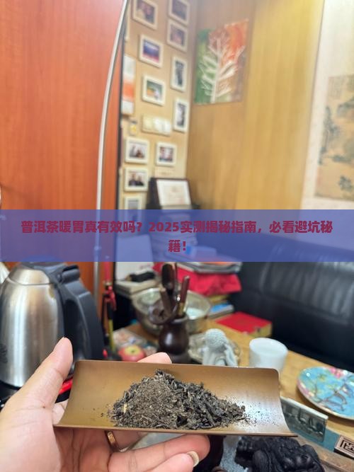 普洱茶治疗寒胃吗