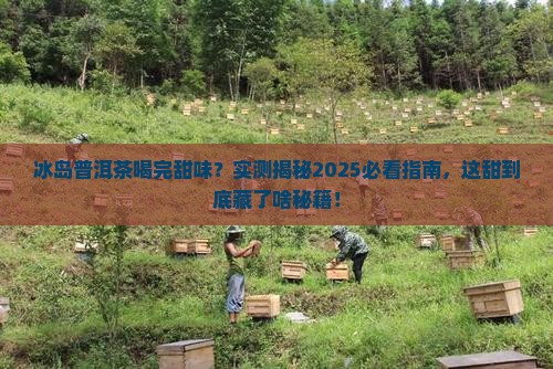 冰岛普洱茶喝完甜味