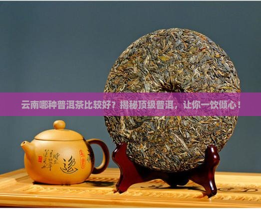 云南哪种普洱茶比较好