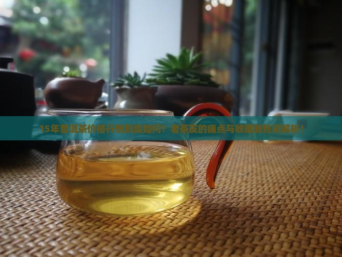 15年普洱茶价格行情