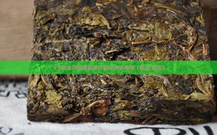 茶叶荷叶能一起泡水吗