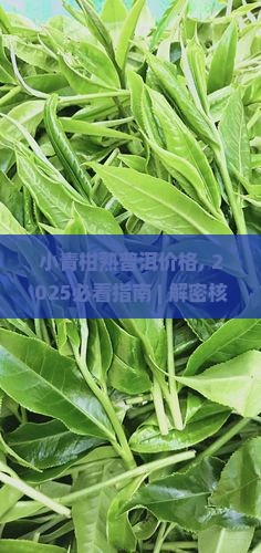 小青柑熟普洱价格