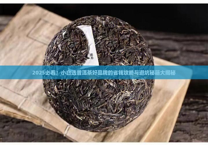 小白怎么选普洱茶好的品牌