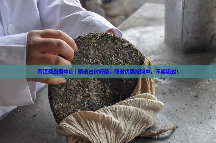 普洱茶直播中山