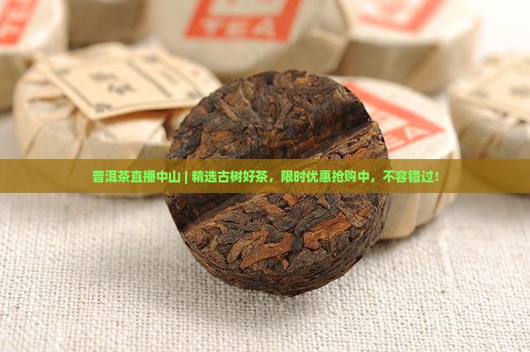 普洱茶直播中山
