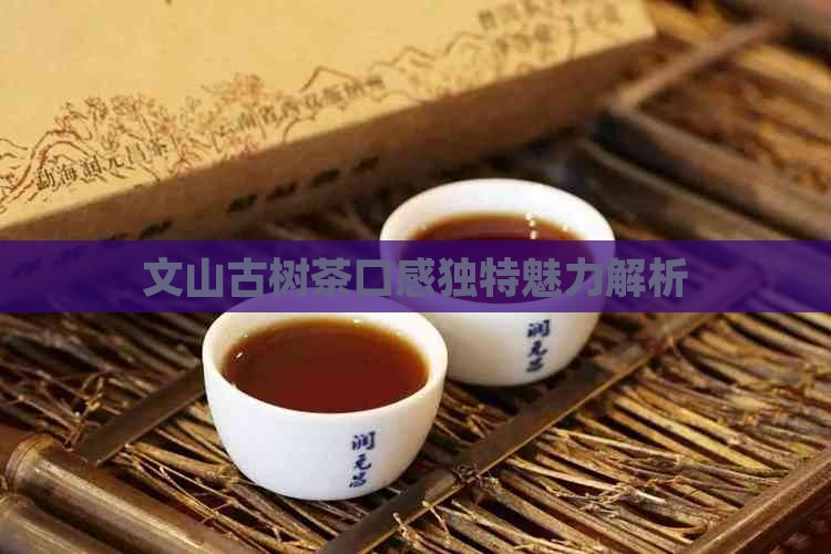 文山古树茶口感怎么样