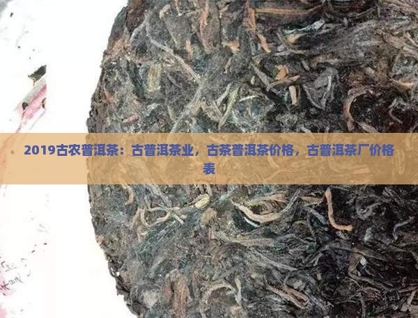 2019古农普洱茶