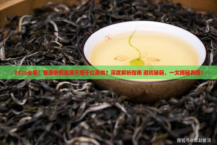普洱茶属不属于红茶类