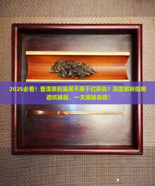 普洱茶属不属于红茶类