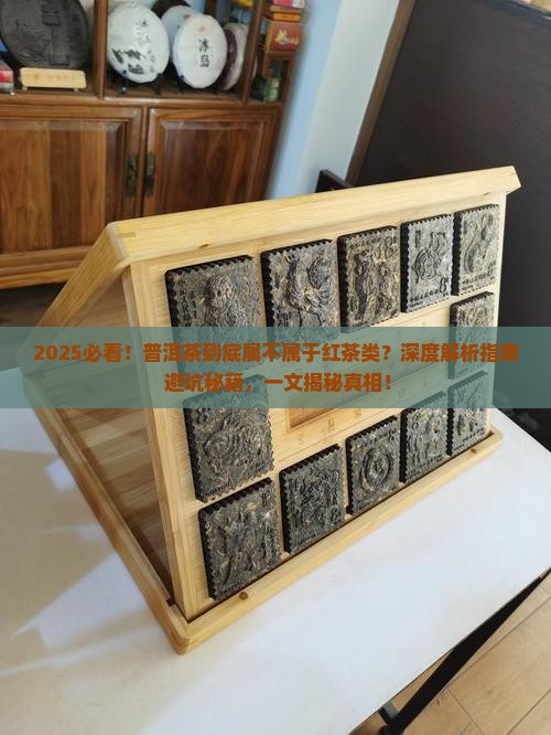 普洱茶属不属于红茶类
