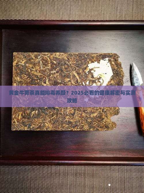 黄金牛蒡茶的效果
