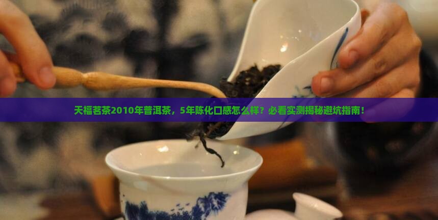 天福茗茶2010年普洱茶