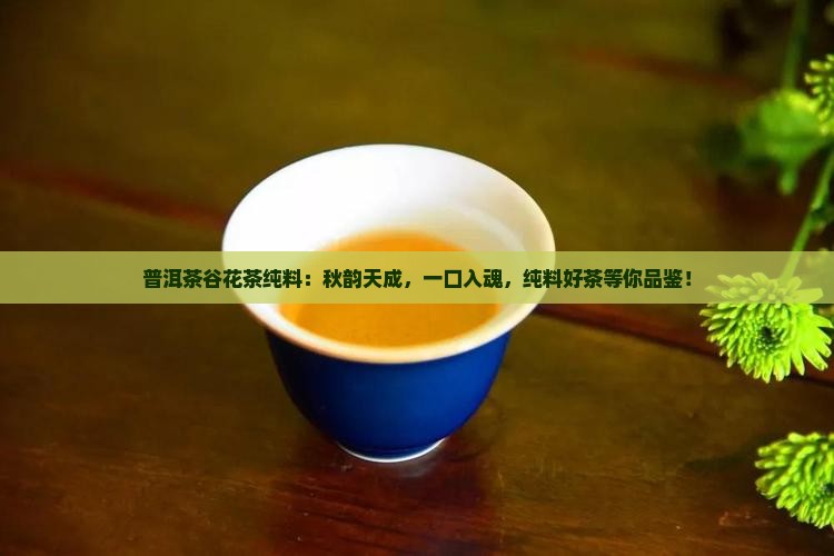 普洱茶谷花茶纯料