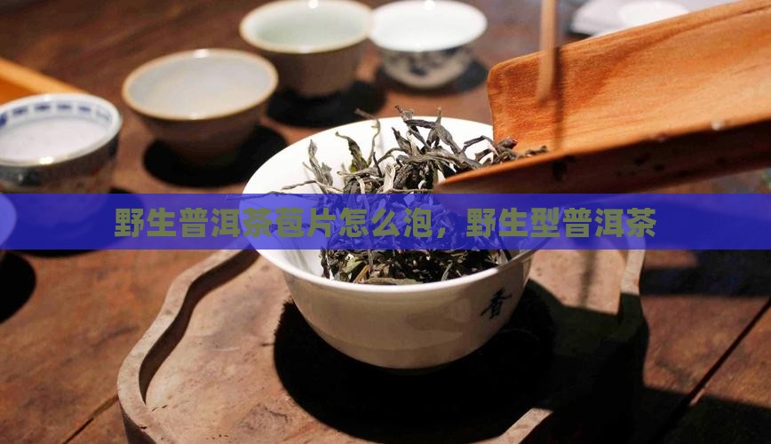 野生普洱茶苞片