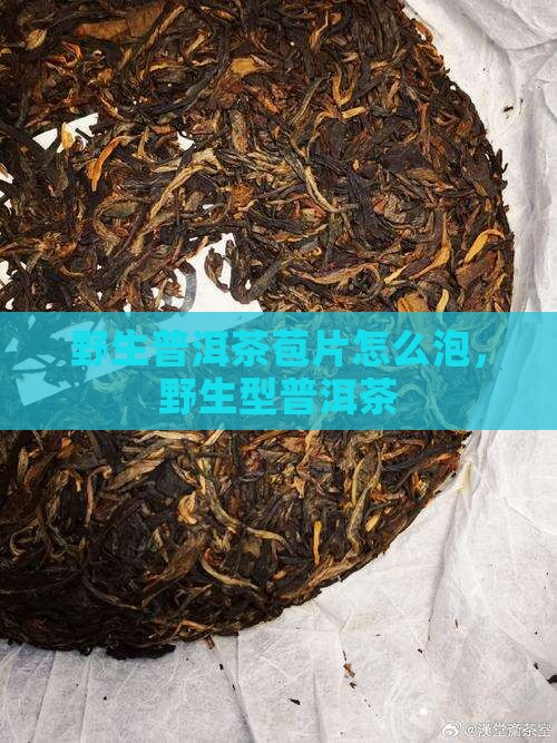 野生普洱茶苞片