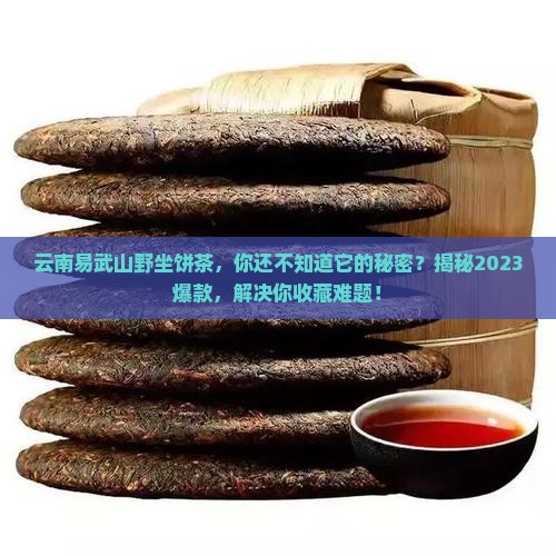 云南易武山野坐饼茶