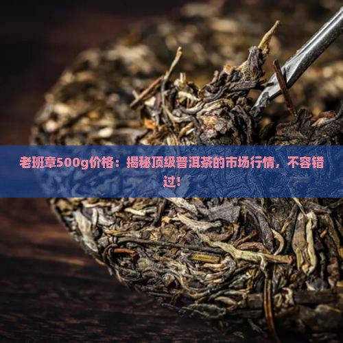 老班章500g价格