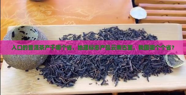 可入口的普洱茶产于哪个省
