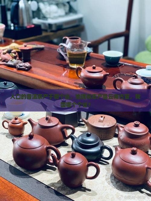 可入口的普洱茶产于哪个省