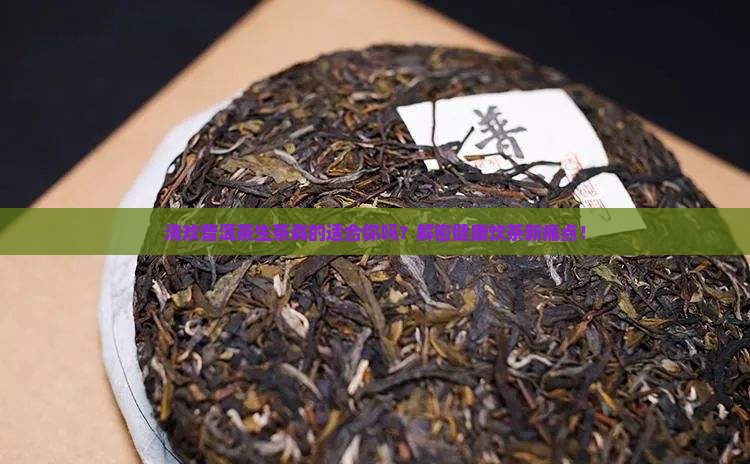 清欢普洱茶生茶